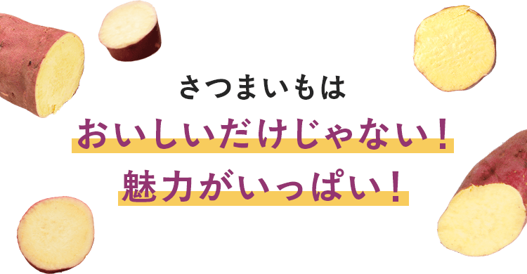 おいしいだけじゃない!魅力がいっぱい!