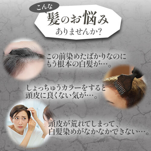定期）somel clayカラークリームシャンプー（ブラック）200g