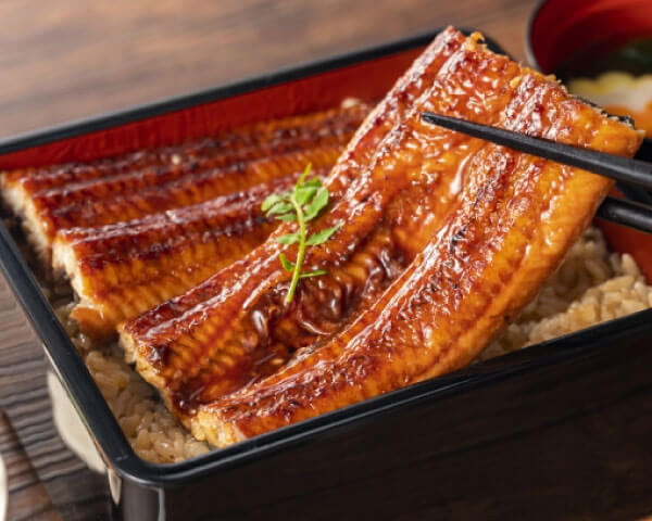 和食材プレミアムコース