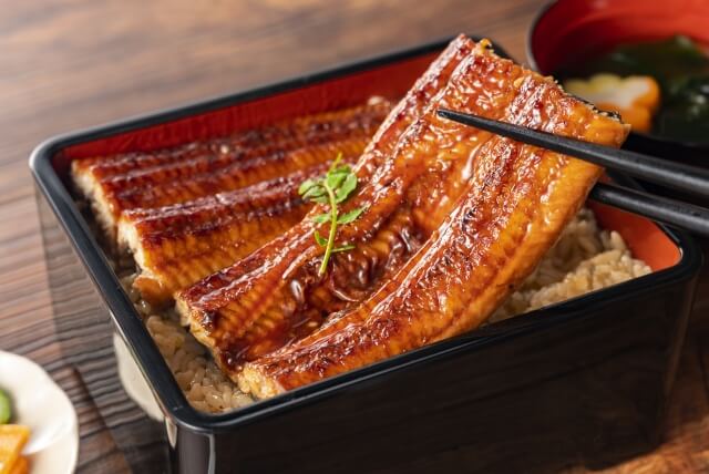 うなぎ蒲焼き丼