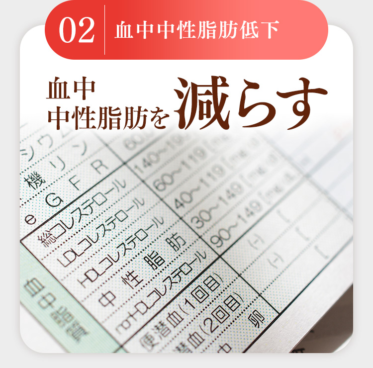 血中中性脂肪低下　血中中性脂肪を減らす