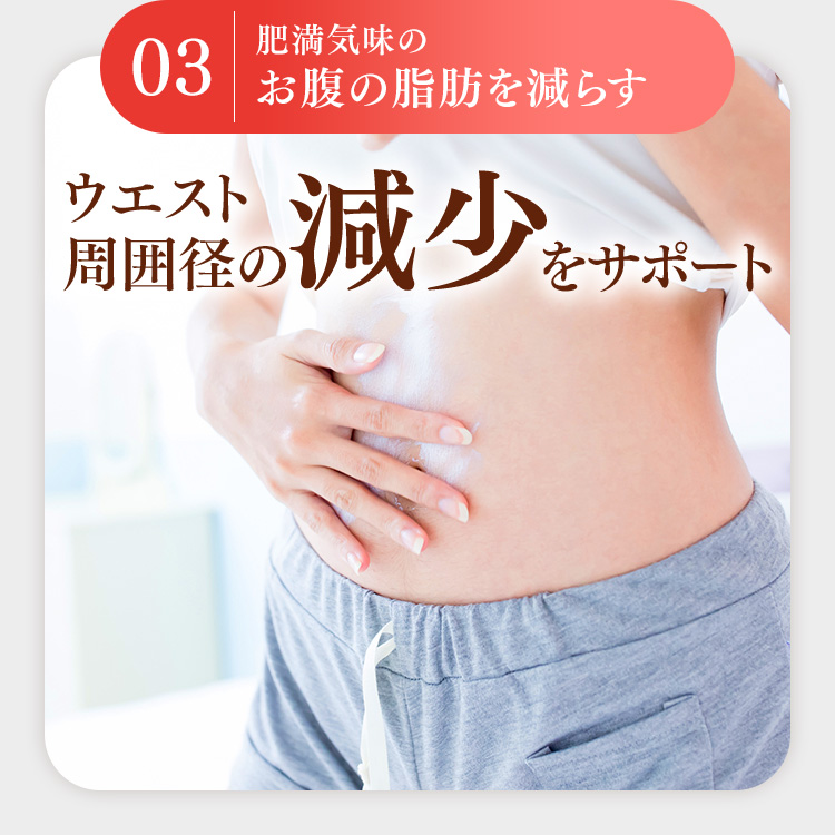 肥満気味のお腹の脂肪を減らす　ウエスト周囲径の減少をサポート