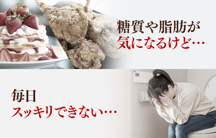 糖質や脂肪が気になるけど…　毎日スッキリできない…
