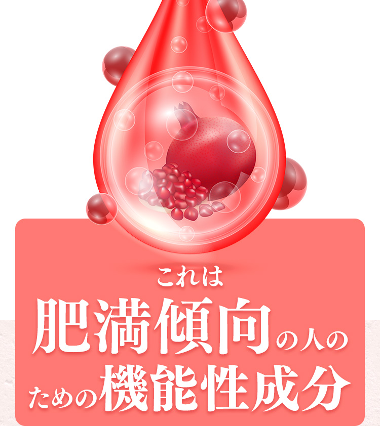 これは肥満傾向の人のための機能性成分