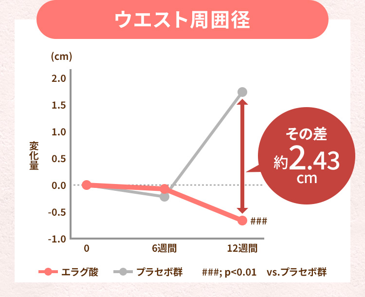 エラグ酸12週間摂取後のウエスト周囲径変化グラフ