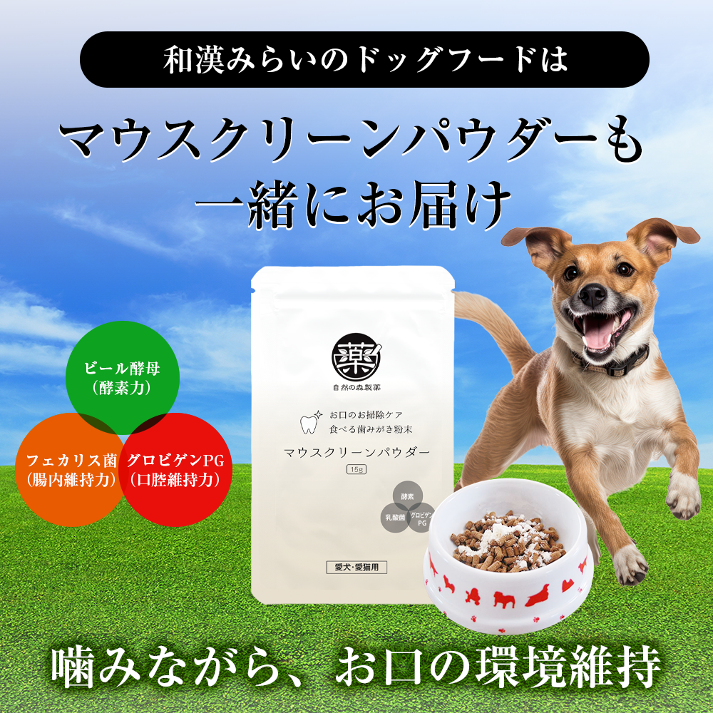みらいのドッグフード（骨関節）500g【定期購入】