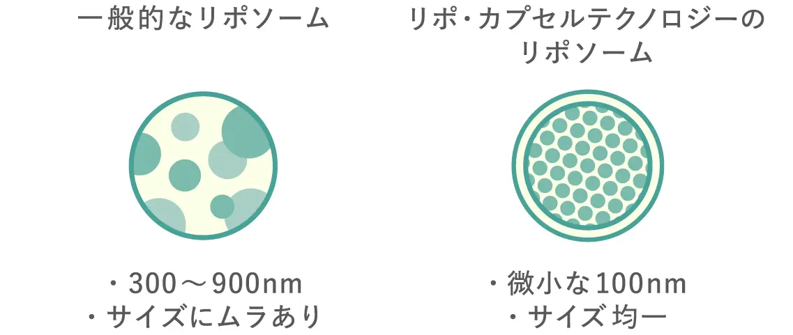 一般的なリポソームとリポ・カプセルテクノロジーのリポソームの比較