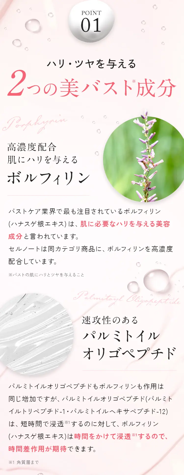 ハリツヤを与える2つの美バスト成分