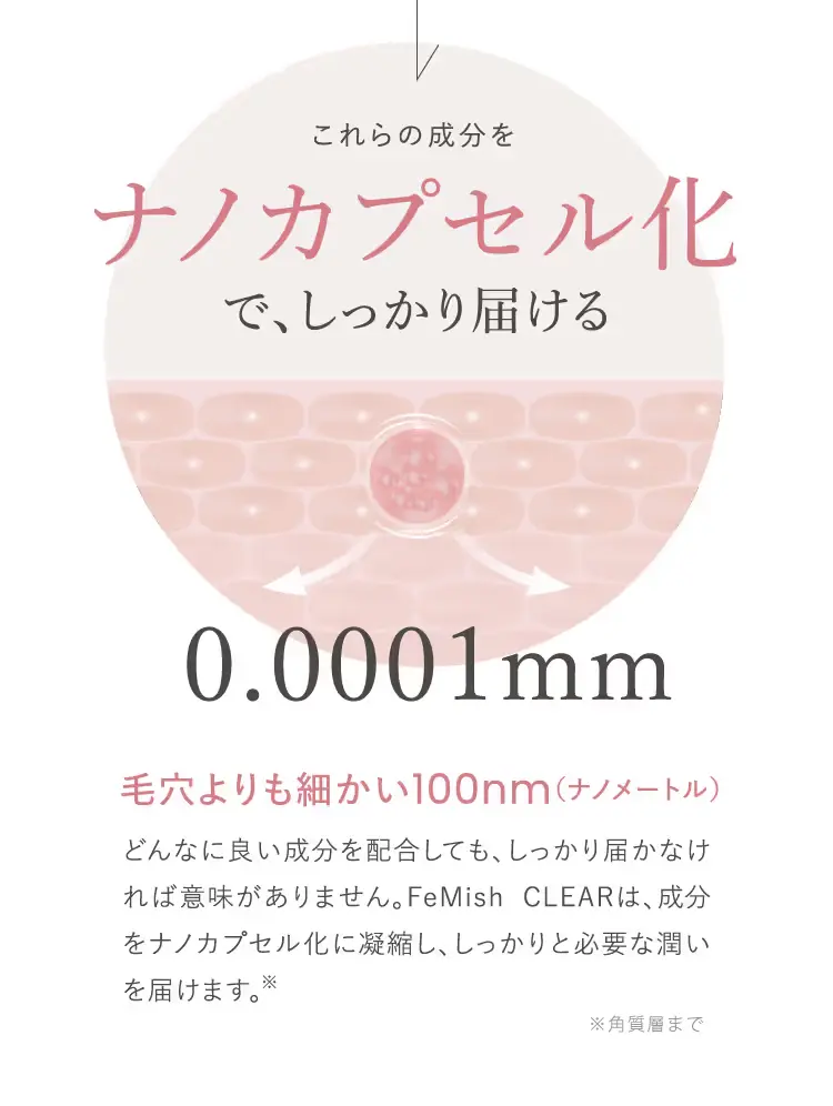 これらの成分をナノカプセル化