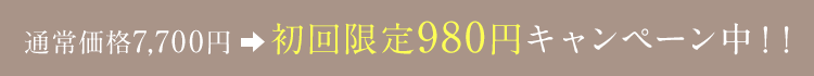 通常価格7,700円→初回限定980円キャンペーン中