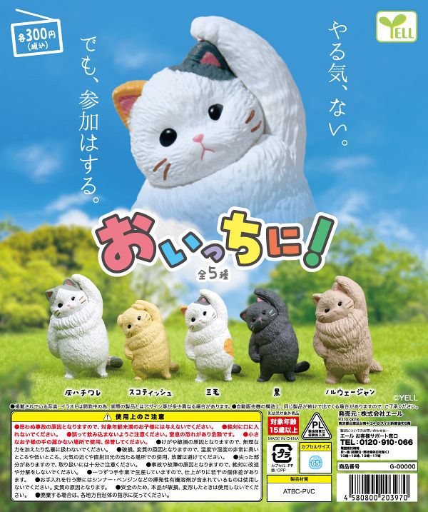 【10月発売】おいっちに！ 40個入り (300円カプセル)【一次予約】
