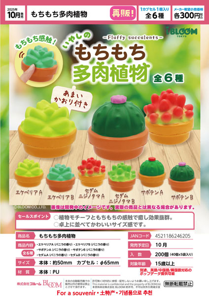 【10月発売】再販 もちもち多肉植物 40個入り (300円カプセル)【一次予約】