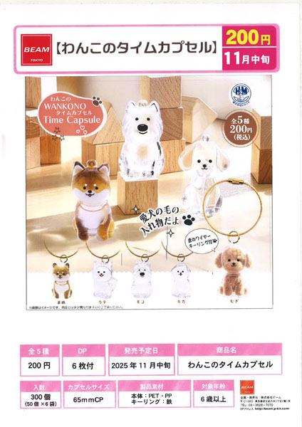 【11月発売】わんこのタイムカプセル 50個入り (200円カプセル)【一次予約】