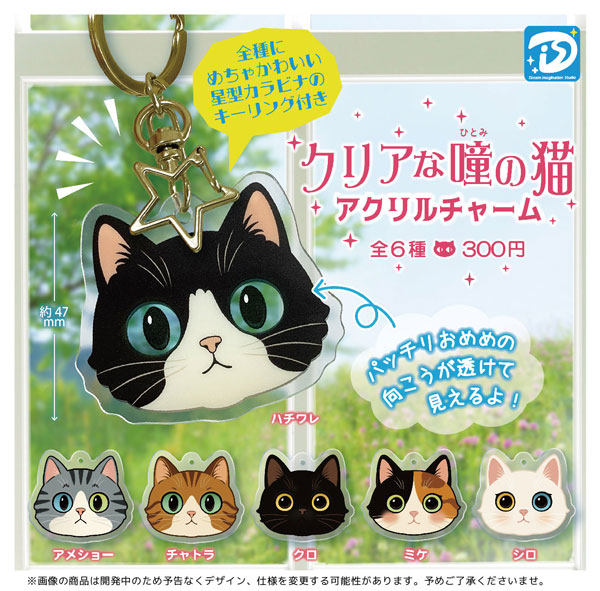 【12月発売】クリアな瞳の猫アクリルチャーム 40個入り (300円カプセル)【一次予約】