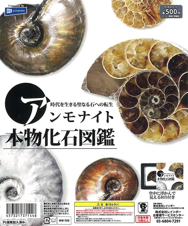 【5月発売】再販 アンモナイト本物化石図鑑 20個入り (500円カプセル)【二次予約】