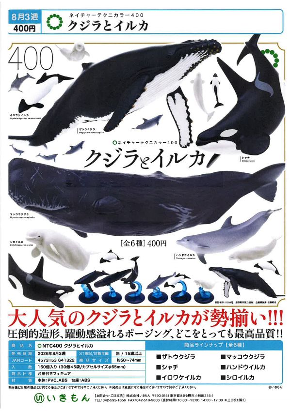 【8月発売】クジラとイルカ 30個入り (400円カプセル)【一次予約】
