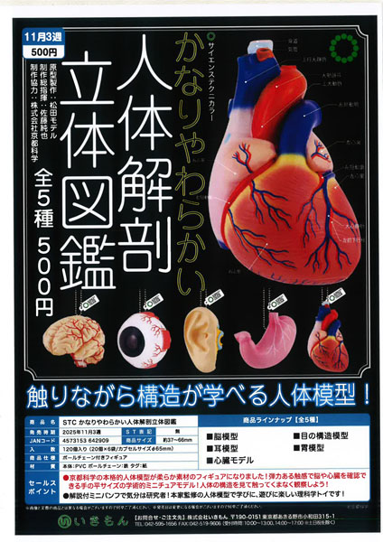 【 11月発売】STC かなりやわらかい人体解剖立体図鑑 20個入り (500円カプセル)【一次予約】