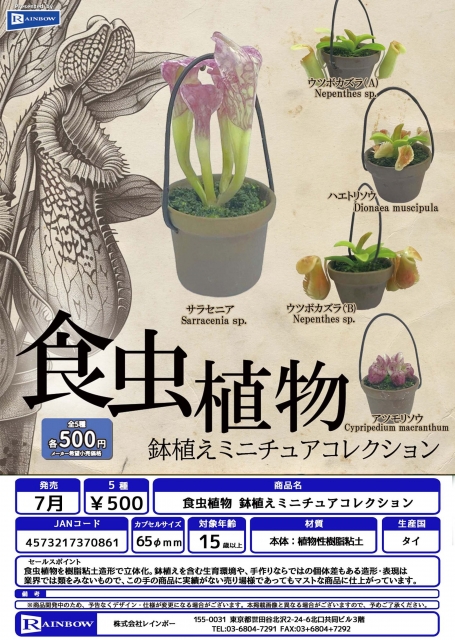 【7月発売】食虫植物鉢植えミニチュアコレクション　20個入り (500円カプセル)【二次予約】