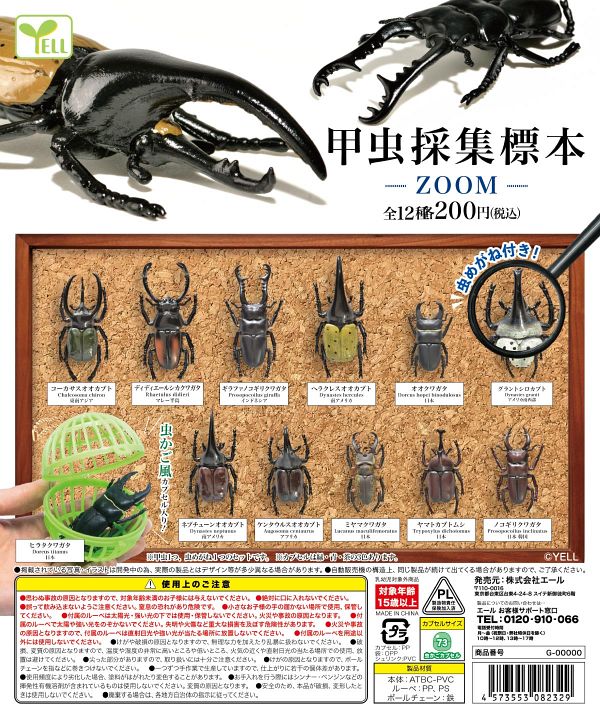 【4月発売】再販 甲虫採集標本〜ZOOM〜 50個入り (200円カプセル)【二次予約】