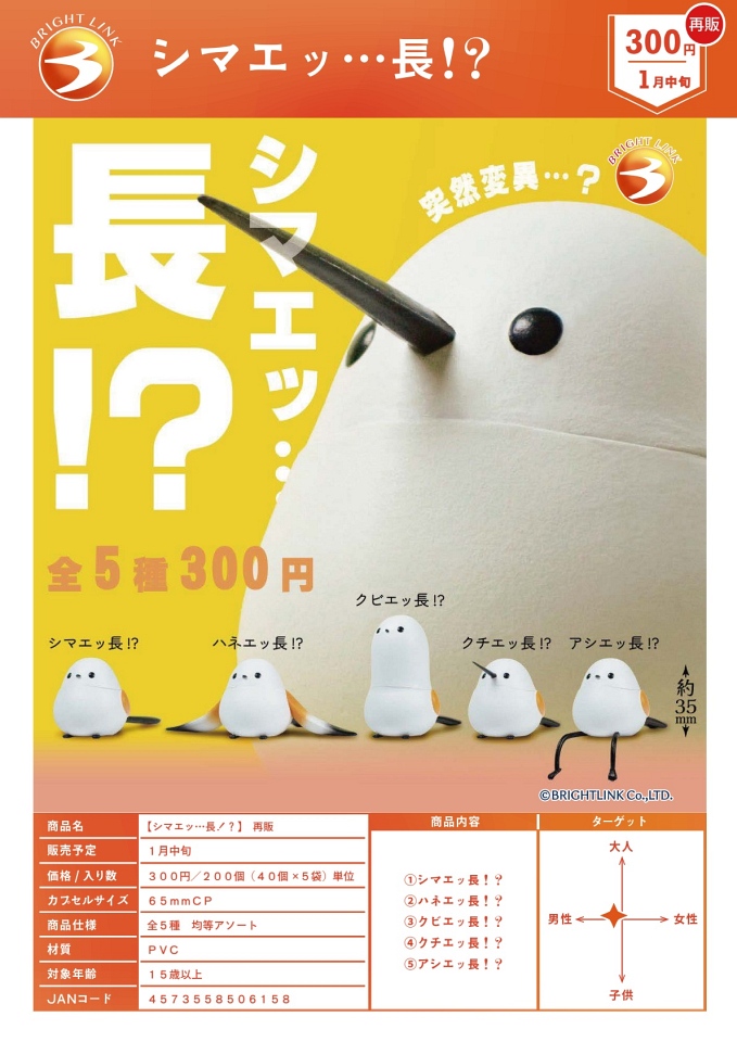 【1月発売】再販 シマエッ・・・長！？ 40個入り (300円カプセル)【一次予約】