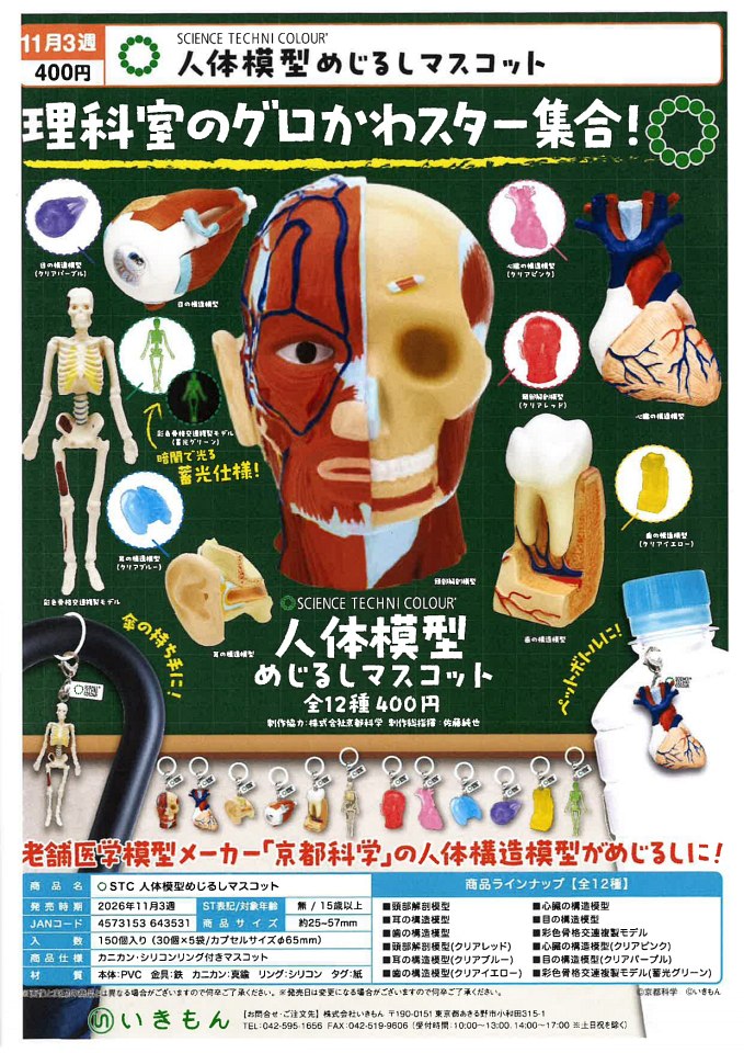 【11月発売】人体模型めじるしマスコット 30個入り (400円カプセル)【二次予約】