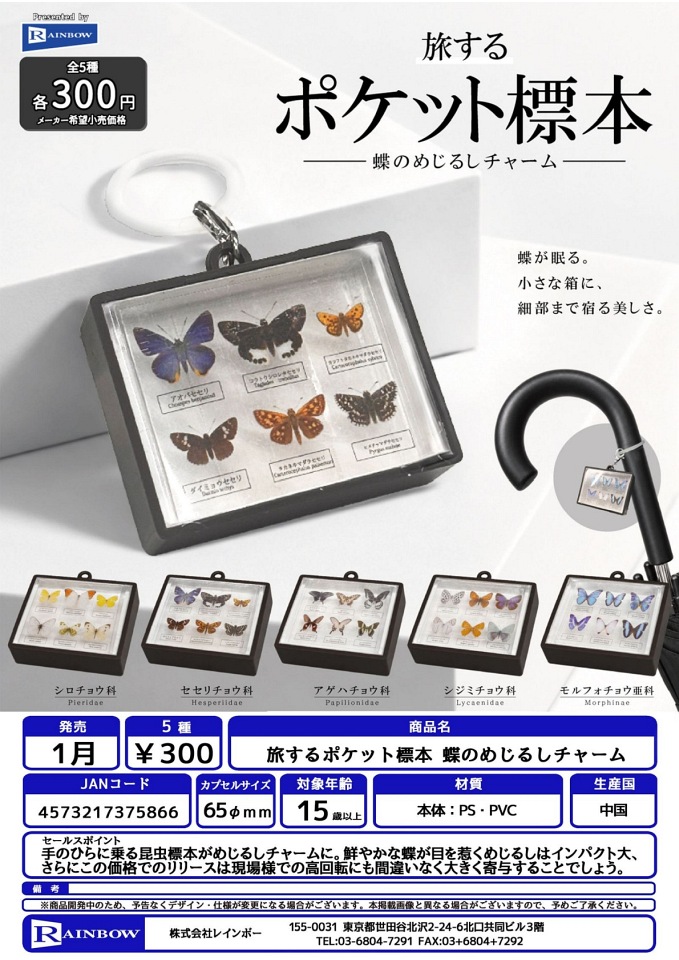【1月発売】旅するポケット標本 蝶のめじるしチャーム 40個入り (300円カプセル)【一次予約】