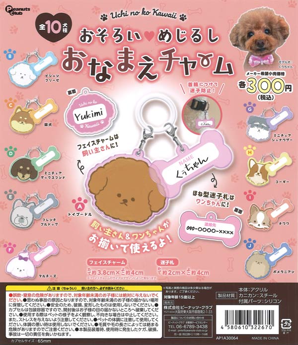 おそろいめじるしおなまえチャーム 40個入り (300円カプセル)