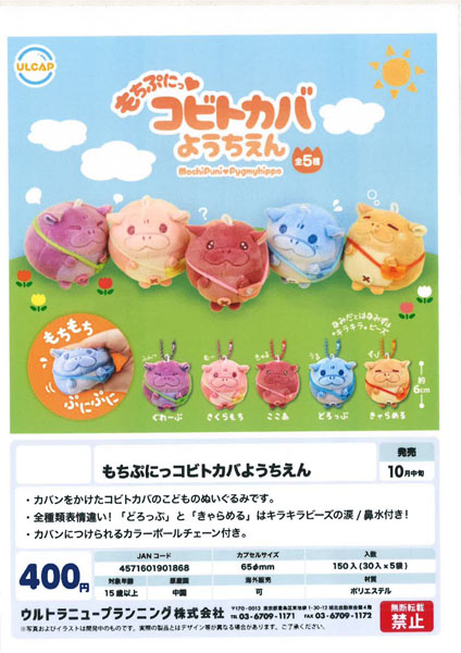 【10月発売】もちぷにっコビトカバようちえん 30個入り (400円カプセル)【一次予約】