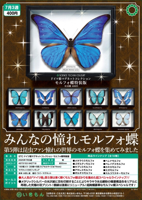 【7月発売】STC ドイツ箱マグネットコレクションモルフォ蝶特装版　30個入り (400円カプセル)【二次予約】