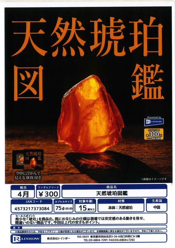 【4月発売】 天然琥珀図鑑 40個入り (300円カプセル)【一次予約】