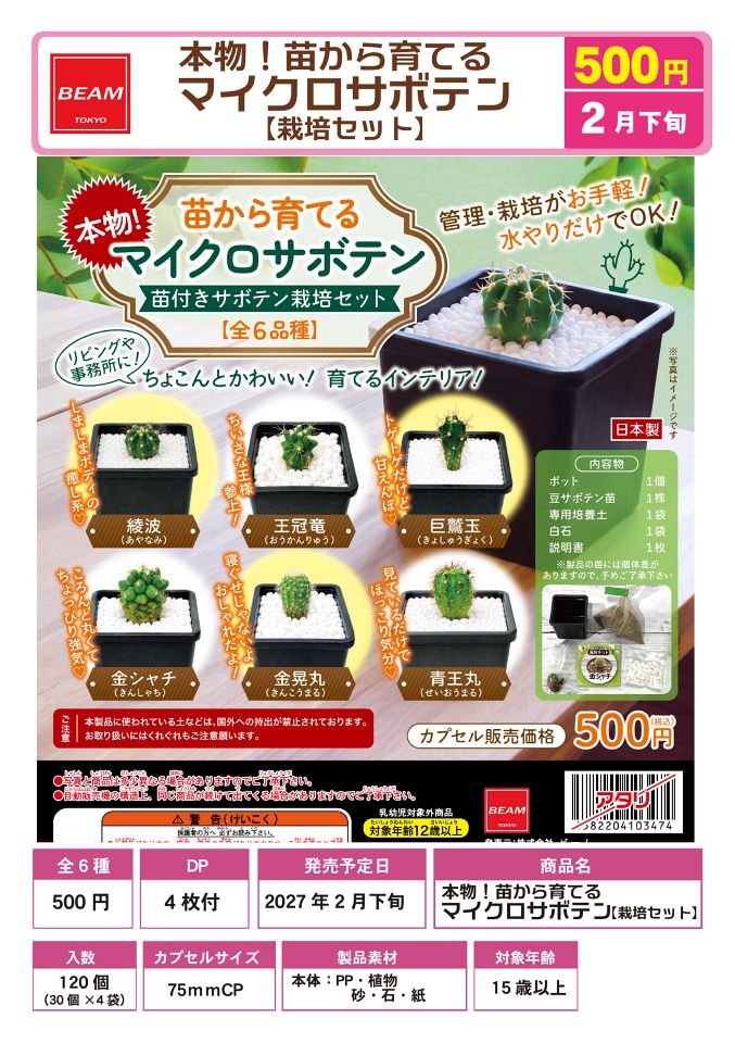 【2月発売】本物！苗から育てるマイクロサボテン「栽培セット」 30個入り (500円カプセル)【一次予約】