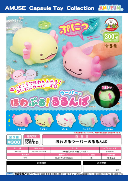 【10月発売】ほわぷる！ウーパーのるるんぱ　40個入り (300円カプセル)【一次予約】