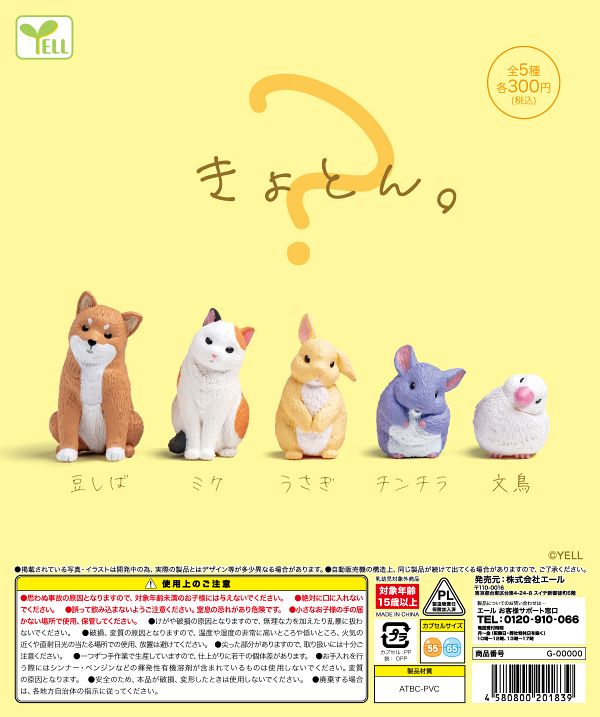 【5月発売】きょとん。 40個入り (300円カプセル)【一次予約】