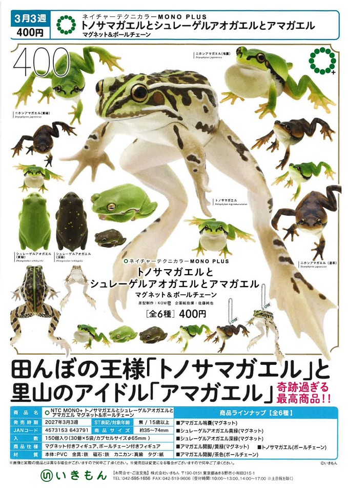 【3月発売】NTC MONO+トノサマガエルとシュレーゲルアオガエルとアマガエル マグネット＆ボールチェーン 30個入り (400円カプセル)【一次予約】