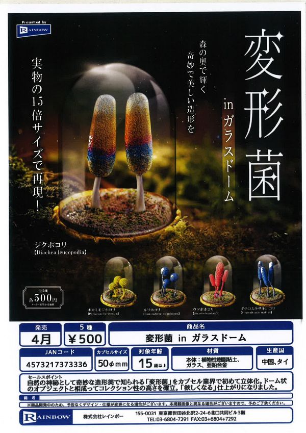 【4月発売】 変形菌 in ガラスドーム 20個入り (500円カプセル)【一次予約】
