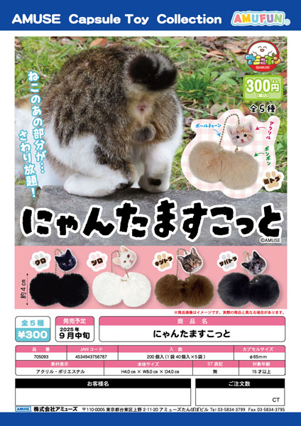 【9月発売】にゃんたますこっと 40個入り (300円カプセル)【一次予約】