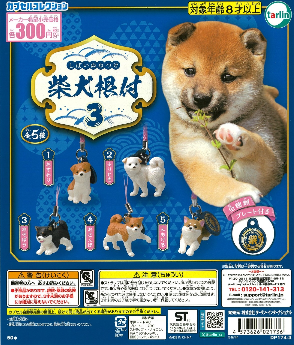 柴犬根付3 40個入り (300円カプセル)