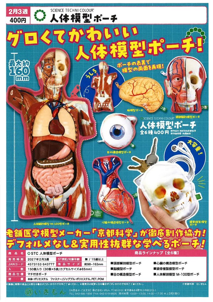 【2月発売】STC 人体模型ポーチ 30個入り (400円カプセル)【一次予約】