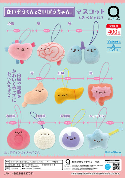 【10月発売】ないぞうくんとさいぼうちゃん。マスコット（スペシャル） 30個入り (400円カプセル)【一次予約】