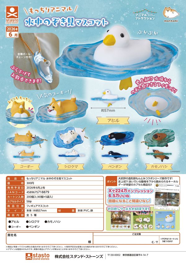 【6月発売】もっちりアニマル 水中のぞき見マスコット 40個入り (300円カプセル)【一次予約】
