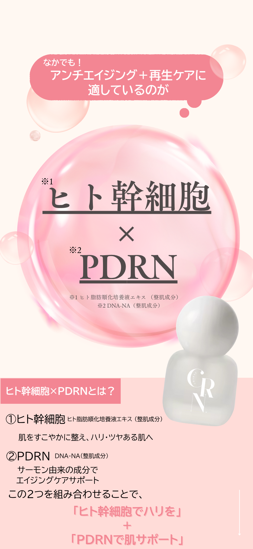 ヒト幹細胞×PDRNとは？成分説明