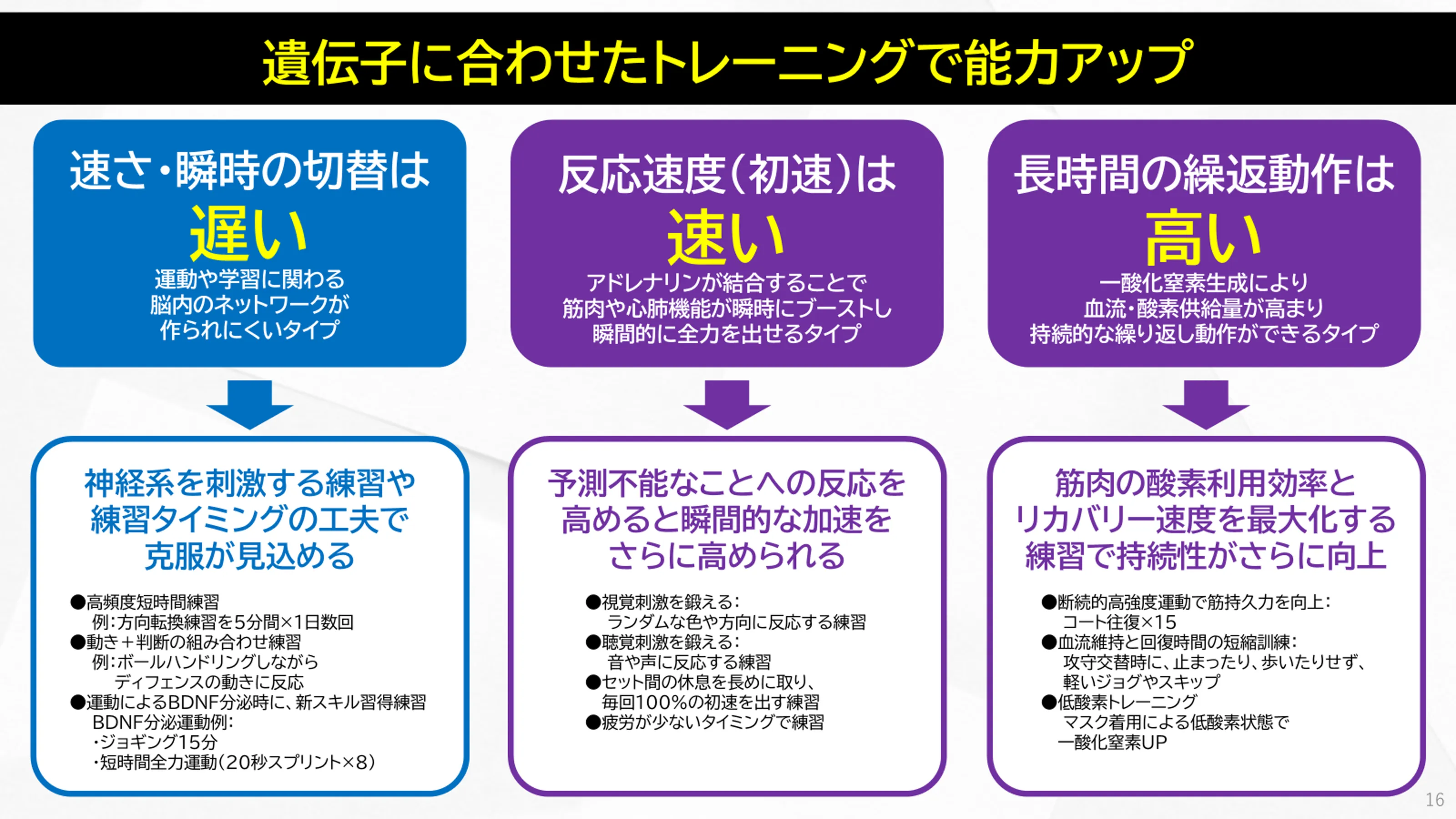 遺伝子に合わせたトレーニングで能力アップ