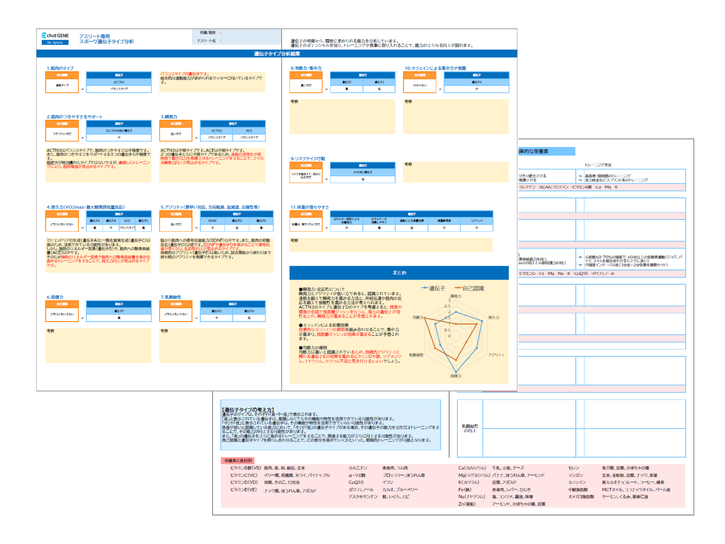 遺伝子分析結果イメージ