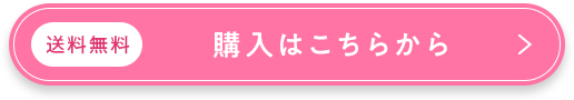 送料無料/購入はこちらから