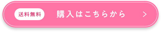 送料無料/購入はこちらから