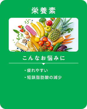 栄養素