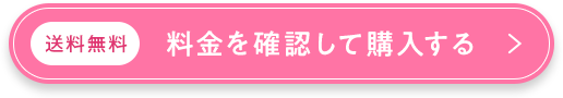 送料無料/購入はこちらから