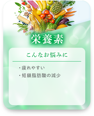 栄養素