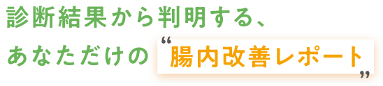 診断結果から判明する、あなただけの腸内改善レポート