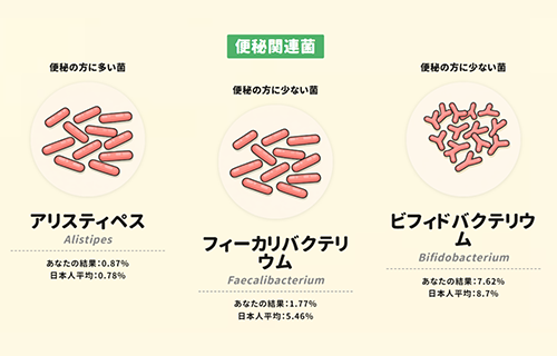 便秘関連菌のレポートサンプル